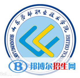 山東勞動(dòng)職業(yè)技術(shù)學(xué)院藝術(shù)類專業(yè)有哪些？（藝術(shù)類專業(yè)）