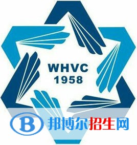 威海職業(yè)學院藝術類專業(yè)有哪些？（藝術類專業(yè)）