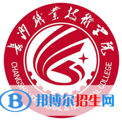長(zhǎng)沙職業(yè)技術(shù)學(xué)院藝術(shù)類專業(yè)有哪些？（藝術(shù)類專業(yè)）