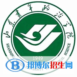 山東青年政治學(xué)院藝術(shù)類專業(yè)有哪些？（藝術(shù)類專業(yè)）
