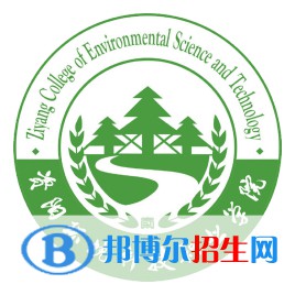 資陽(yáng)環(huán)境科技職業(yè)學(xué)院藝術(shù)類專業(yè)有哪些？（藝術(shù)類專業(yè)）