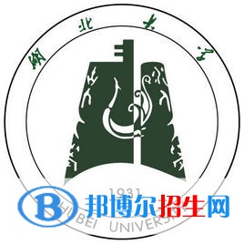 湖北大學(xué)藝術(shù)類專業(yè)有哪些？（藝術(shù)類專業(yè)）