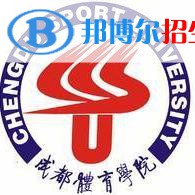 成都體育學(xué)院藝術(shù)類專業(yè)有哪些？（藝術(shù)類專業(yè)）