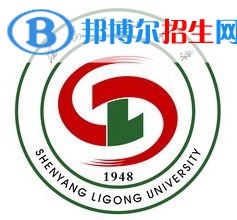 沈陽理工大學(xué)藝術(shù)類專業(yè)有哪些？（藝術(shù)類專業(yè)）