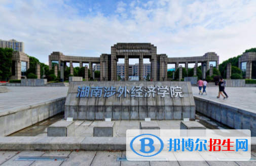 湖南涉外經(jīng)濟學(xué)院藝術(shù)類專業(yè)有哪些？（藝術(shù)類專業(yè)）