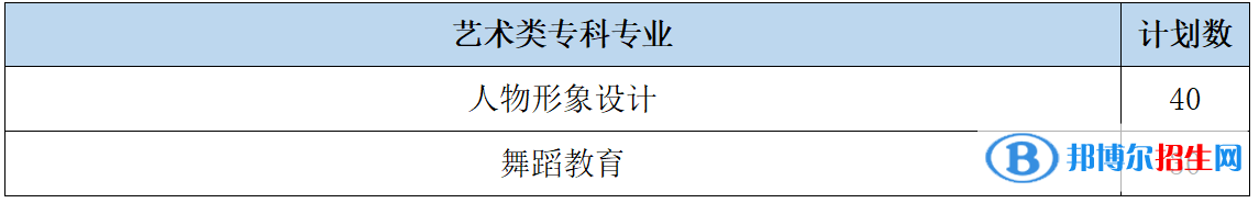 山東女子學(xué)院藝術(shù)類專業(yè)有哪些？