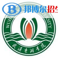 武漢東湖學(xué)院藝術(shù)類專業(yè)有哪些？（藝術(shù)類專業(yè)）