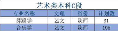 延安大學藝術類專業(yè)有哪些？