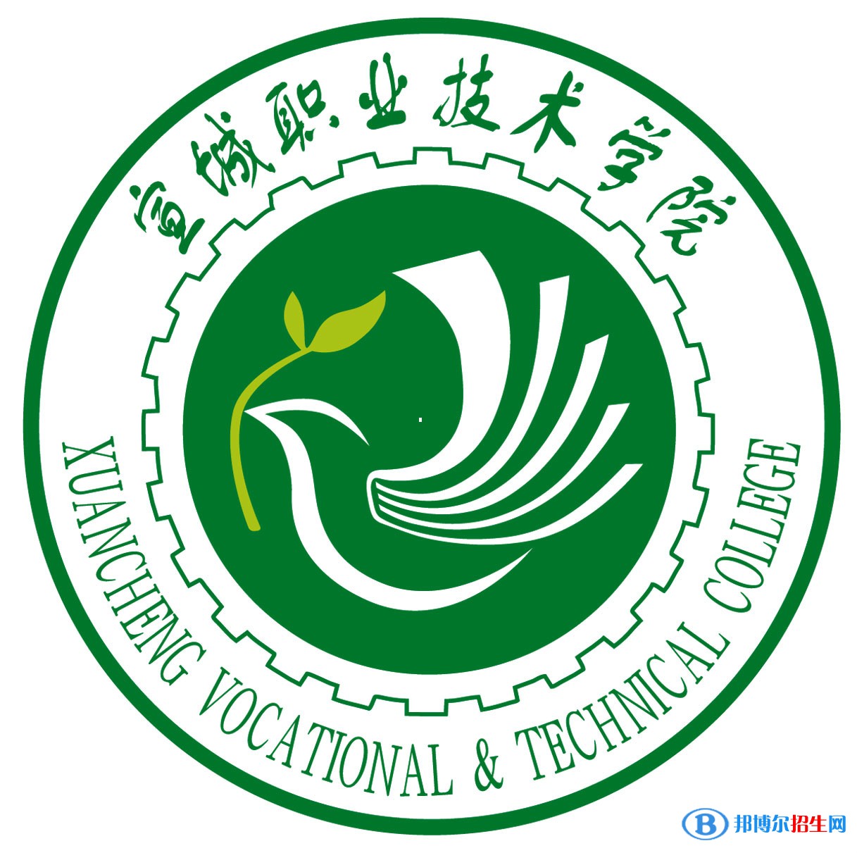 宣城職業(yè)技術學院藝術類專業(yè)有哪些？