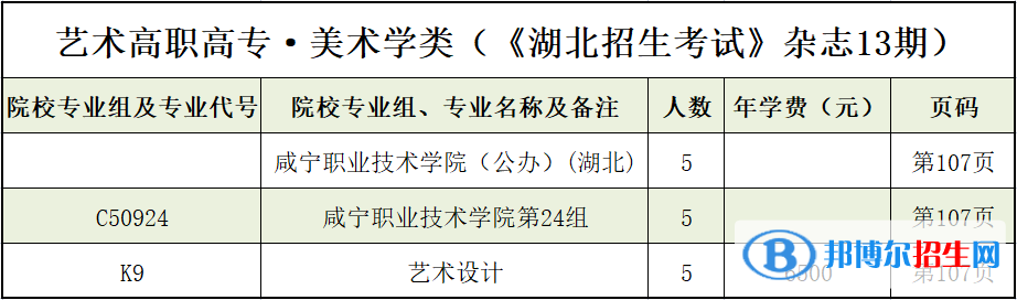 咸寧職業(yè)技術(shù)學(xué)院藝術(shù)類專業(yè)有哪些？