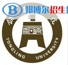 銅陵學(xué)院藝術(shù)類專業(yè)有哪些？