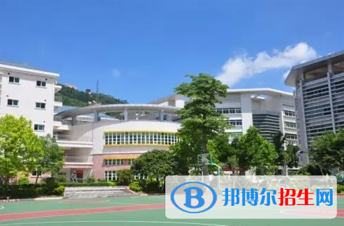 瑞得福國(guó)際學(xué)校2023年課程體系2