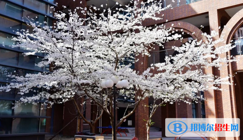 河北省石家莊市第二中學2023年學費、收費多少