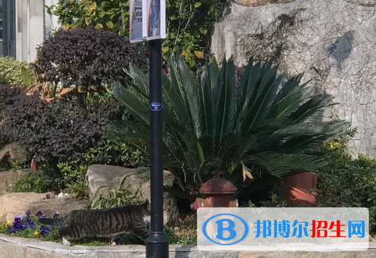 南京寧海中學(xué)2023年學(xué)費(fèi)、收費(fèi)多少 