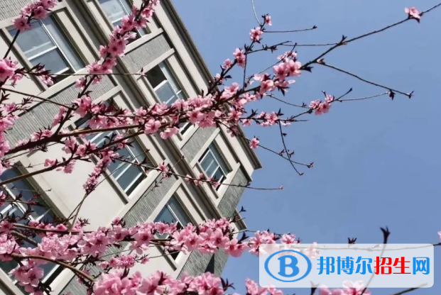 南京寧海中學2023年報名條件、招生要求、招生對象 