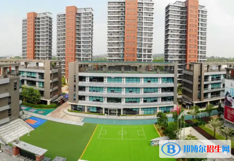深圳科愛賽國(guó)際學(xué)校怎么樣2