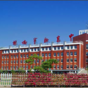 榆樹實驗高級中學