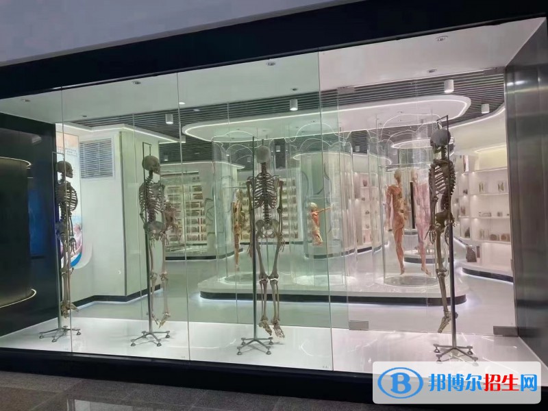 云南2023年職業(yè)中專(zhuān)和衛(wèi)校哪個(gè)好
