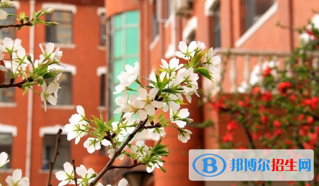 石家莊外國語學(xué)校2023年學(xué)費(fèi)、收費(fèi)多少
