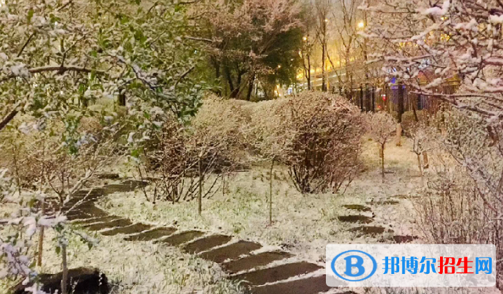 長春希望高中2023年網(wǎng)站網(wǎng)址 
