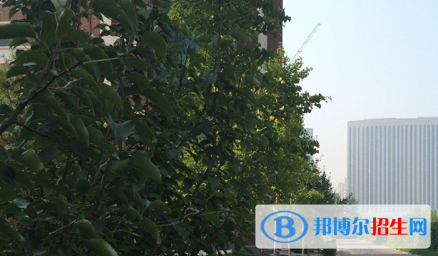 山西省實驗中學2023年招生計劃