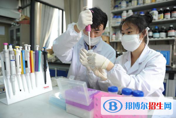 蘭州2023年現(xiàn)在上衛(wèi)校學什么好