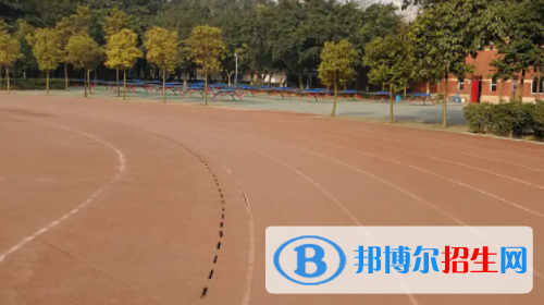 石家莊2023年計算機學校什么專業(yè)有前途