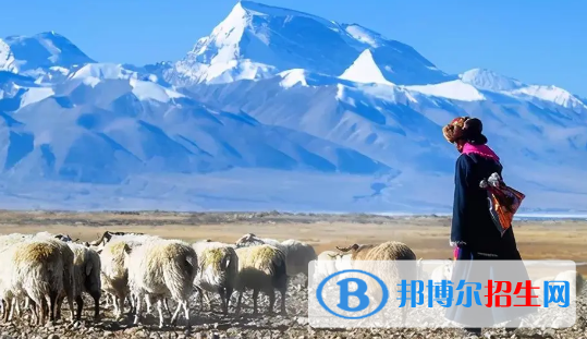 阿里地區(qū)中考物理總分(滿(mǎn)分）是多少（附阿里物理中考成績(jī)查詢(xún)?nèi)肟冢? width=