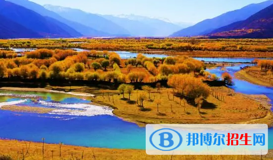 林芝中考化學(xué)總分(滿分）是多少（附林芝化學(xué)中考成績查詢?nèi)肟冢? width=