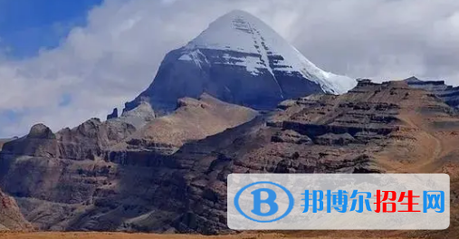 阿里地區(qū)中考生物總分(滿分）是多少（附阿里生物中考成績查詢?nèi)肟冢? width=