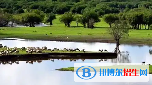 呼倫貝爾中考數(shù)學總分(滿分）是多少（附呼倫貝爾中考成績查詢入口）