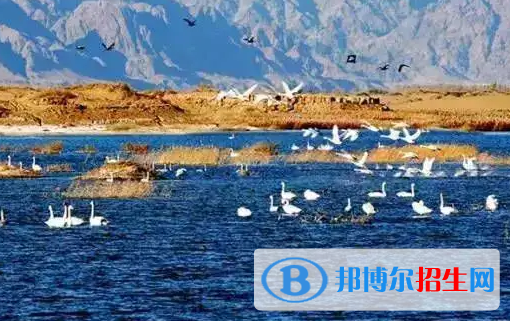 巴彥淖爾中考英語(yǔ)總分(滿分)是多少(附巴彥淖爾中考成績(jī)查詢?nèi)肟冢? width=