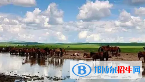 錫林郭勒中考生物總分(滿分）是多少（附錫林郭勒中考成績(jī)查詢?nèi)肟冢? width=