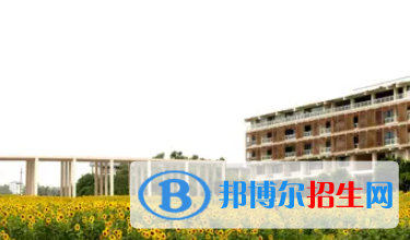 廣西2023年哪個(gè)計(jì)算機(jī)學(xué)校好點(diǎn)