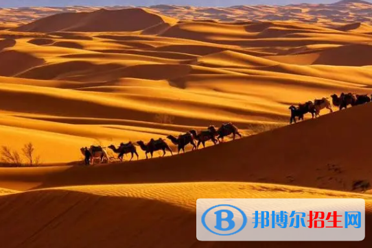 中衛(wèi)市中考英語總分(滿分）是多少？（附中衛(wèi)中考成績查詢?nèi)肟冢? width=