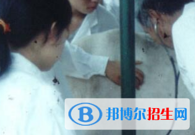 河南2023年中等衛(wèi)校哪個(gè)專(zhuān)業(yè)好