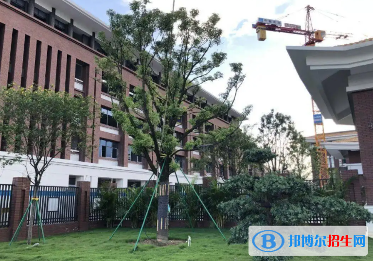 廣雅中學(xué)博雅國際班2023年錄取分?jǐn)?shù)線2