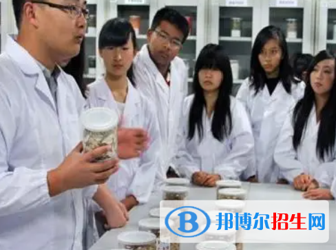 河南2023年中職衛(wèi)校學(xué)什么專業(yè)好