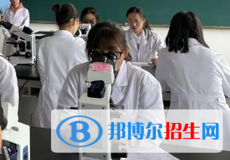 河南2023年女孩上衛(wèi)校學什么好