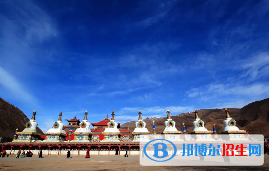 玉樹(shù)州中考英語(yǔ)總分(滿(mǎn)分）是多少（附中考玉樹(shù)州成績(jī)查詢(xún)?nèi)肟冢? width=