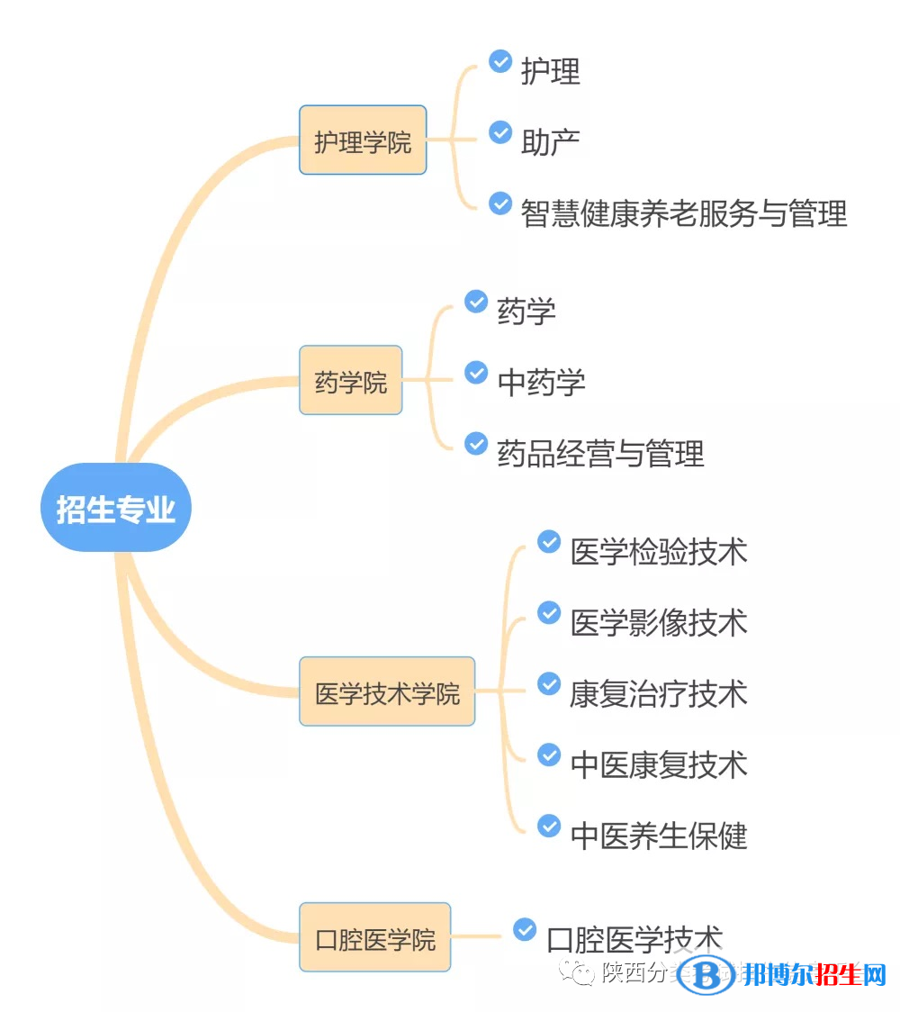 西安醫(yī)學(xué)高等?？茖W(xué)校2022分類考試招生專業(yè)有哪些？