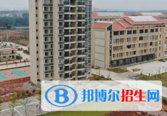 廣西2023年現(xiàn)在計(jì)算機(jī)學(xué)校學(xué)什么專業(yè)好