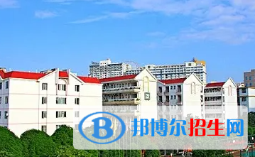 廣西2023年計算機學(xué)校里面都有哪些專業(yè)