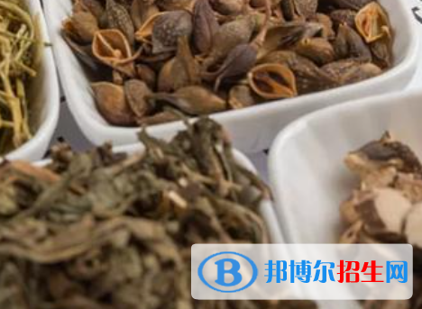 河南2023年衛(wèi)校有什么專(zhuān)業(yè)