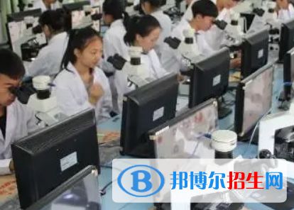 河南2023年現(xiàn)在衛(wèi)校有什么專(zhuān)業(yè)
