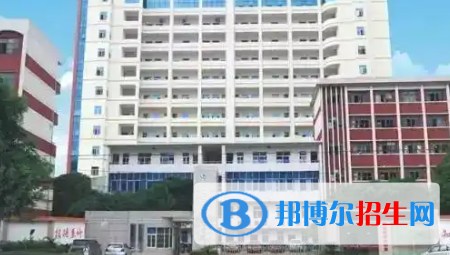 廣西2023年計(jì)算機(jī)學(xué)校都有什么專業(yè)適合男生