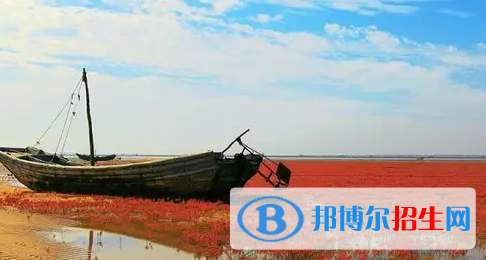 盤錦中考物理總分(滿分)是多少(附盤錦中考成績查詢?nèi)肟冢? width=