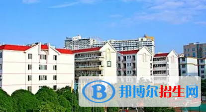 廣西2023年計算機(jī)學(xué)校有哪些專業(yè)適合女生