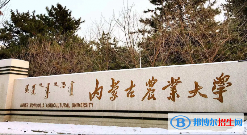 2023內(nèi)蒙古文科460分左右能上什么好大學(xué)（本省大學(xué)+外省大學(xué)）