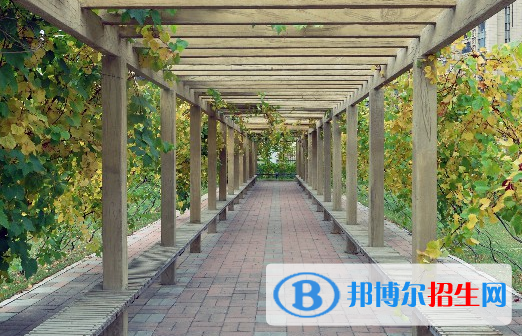 安徽2023年汽修學(xué)校可以學(xué)什么